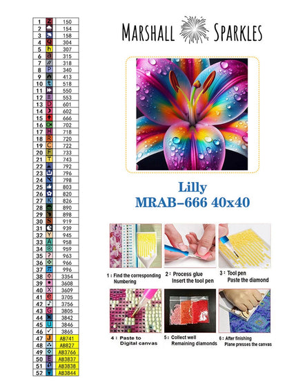 May Lilly © 40x40 Round Ab Drills