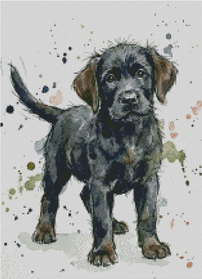 Labrador © 40x55