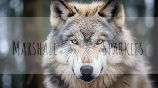 Wolf © 90x50