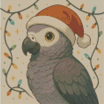 12 Months of Parrot © 30x30 by Katie Mayo-Jackson