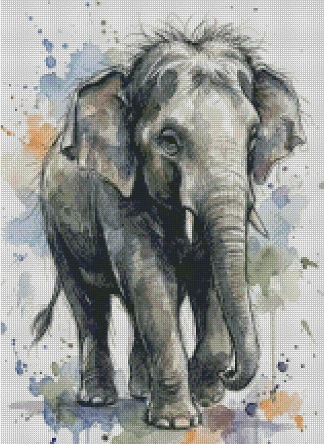 Elephant © 40x55 - (print to order)