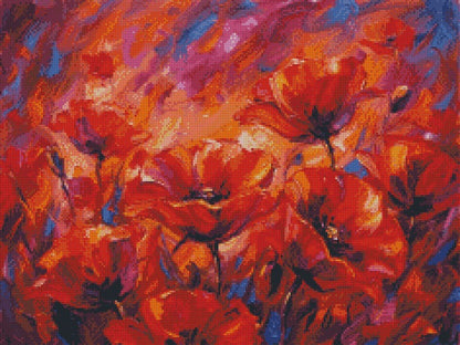 Poppies © 60x45