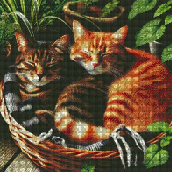 Cats ©  50x50 (print to order)