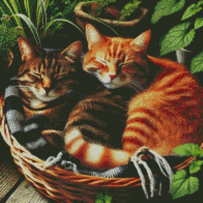 Cats ©  50x50 (print to order)