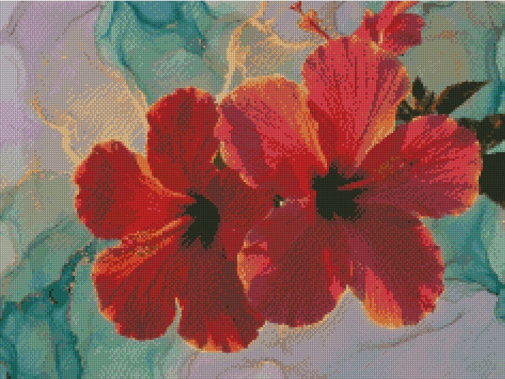 Hibiscus © 60x45