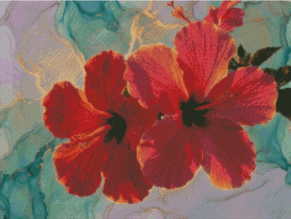 Hibiscus © 60x45