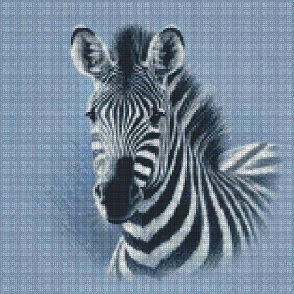 Zebra ©  40x40