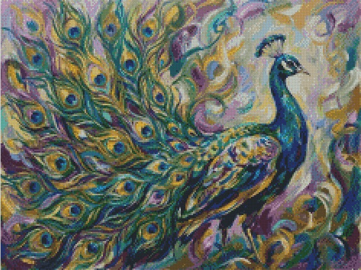 Peacock © 60x45