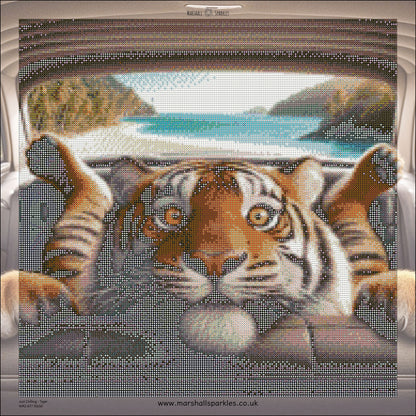 Just Chilling © 50x50 Round Fairy Drill