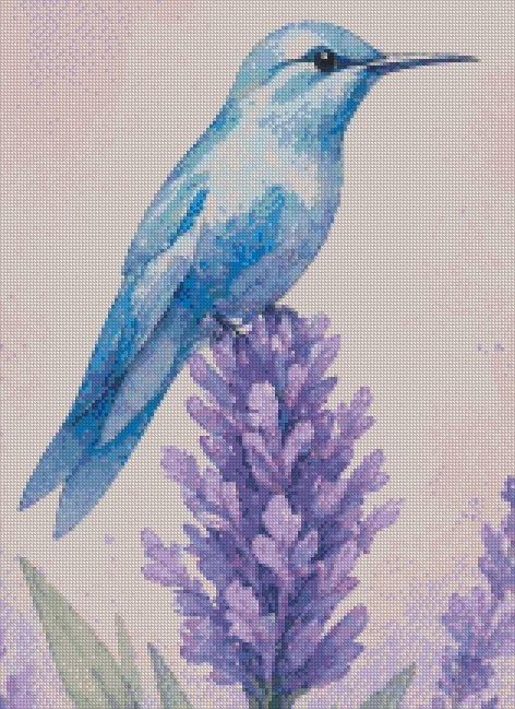 Aquilla © 40x55 by Rachel Diamond