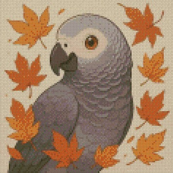 12 Months of Parrot © 30x30 by Katie Mayo-Jackson