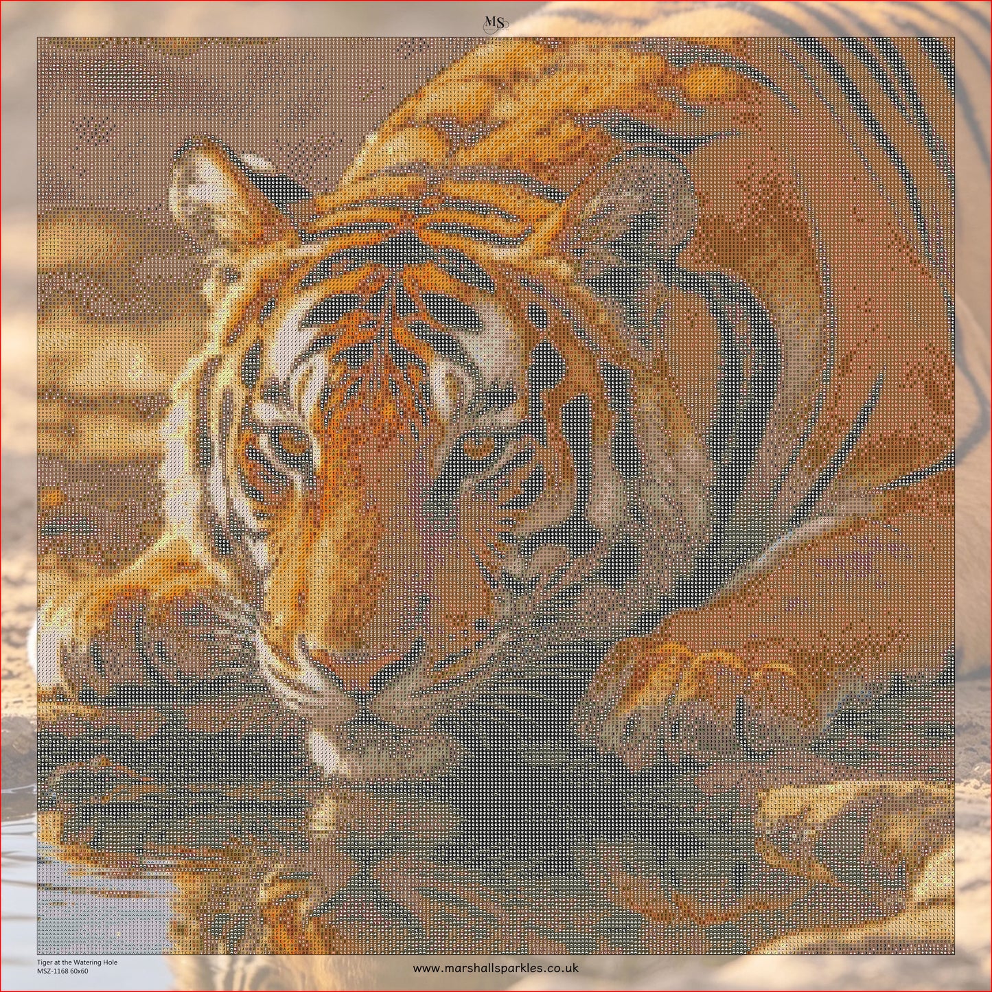 Tiger at the Watering Hole © 60x60