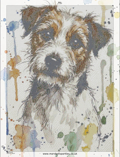 Jack Russell © 40x55