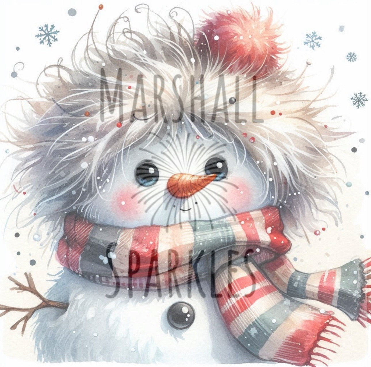 Snowman © 40x40 (print to order)