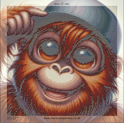 Cap Crew - Orangutan © 40x40 - (print to order)