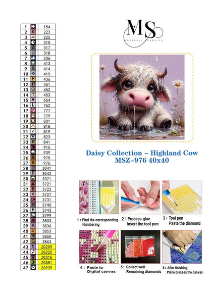 Daisy Collection - Highland Cow © 40x40