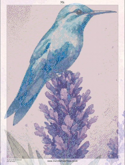 Aquilla © 40x55 by Rachel Diamond