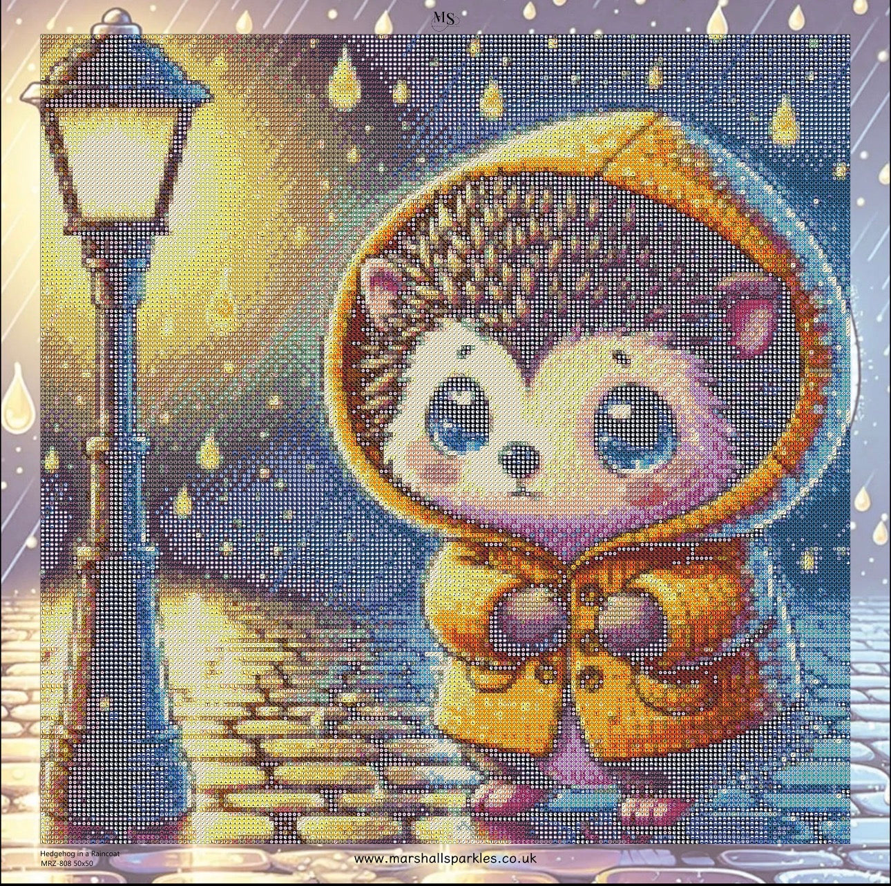 Hedgehog in a Raincoat © 50x50