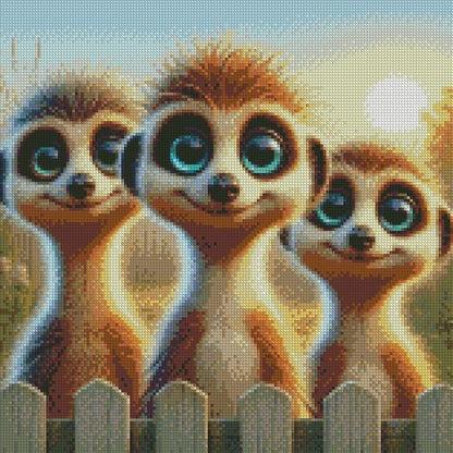 Over the Fence - Meerkats © 40x40 (print to order)