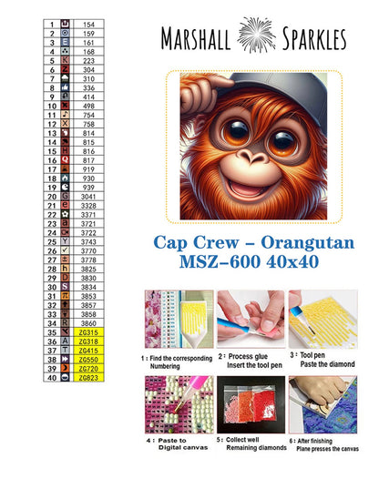 Cap Crew - Orangutan © 40x40 - (print to order)