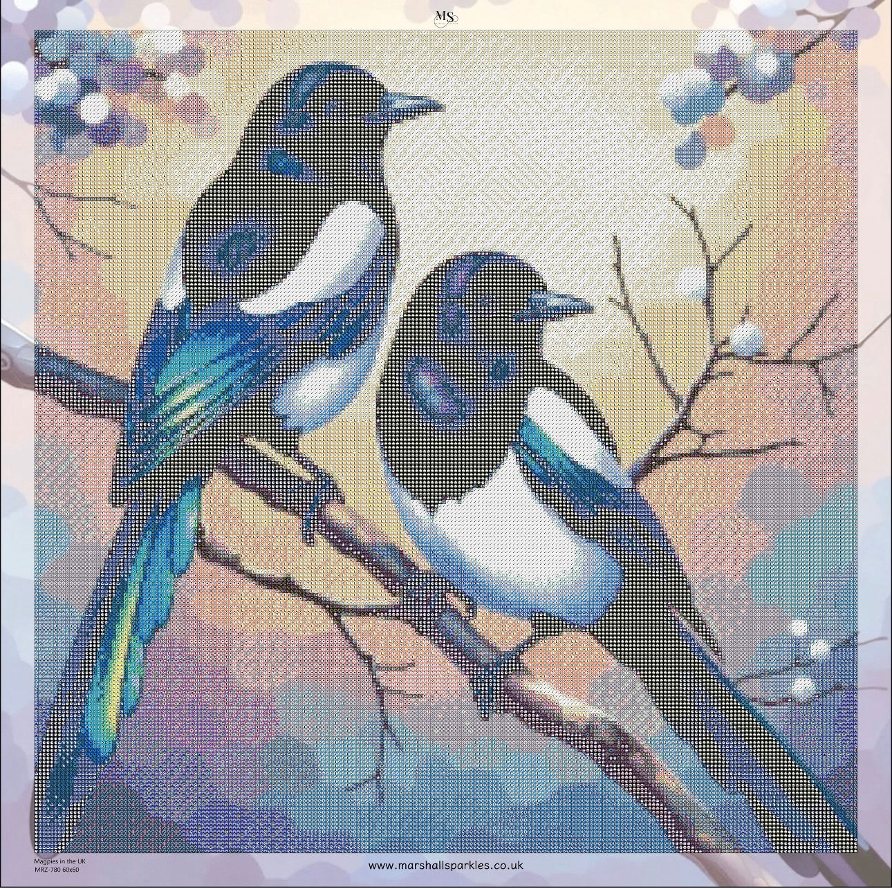 Magpies in the UK © 60x60