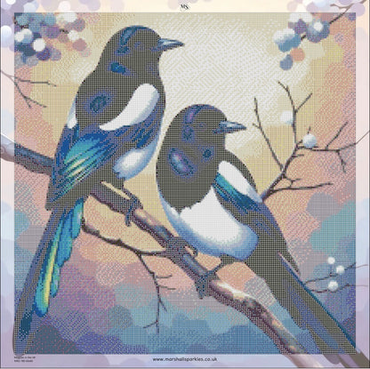 Magpies in the UK © 60x60