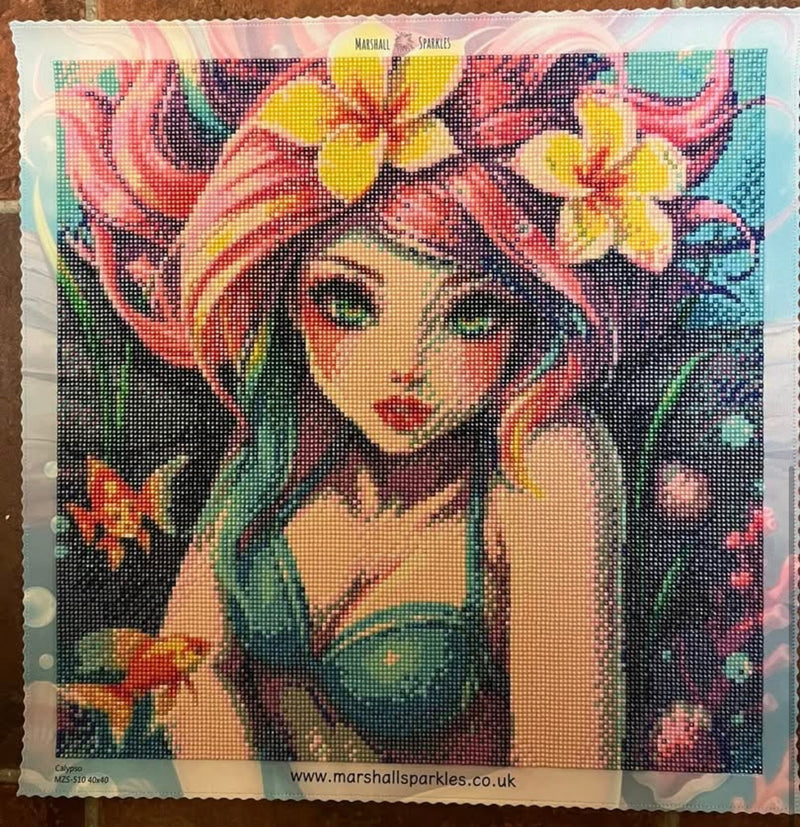 Calypso completed by Rachel L