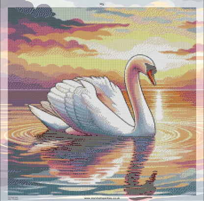 The Kings Swan © 60x60