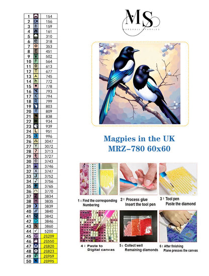 Magpies in the UK © 60x60