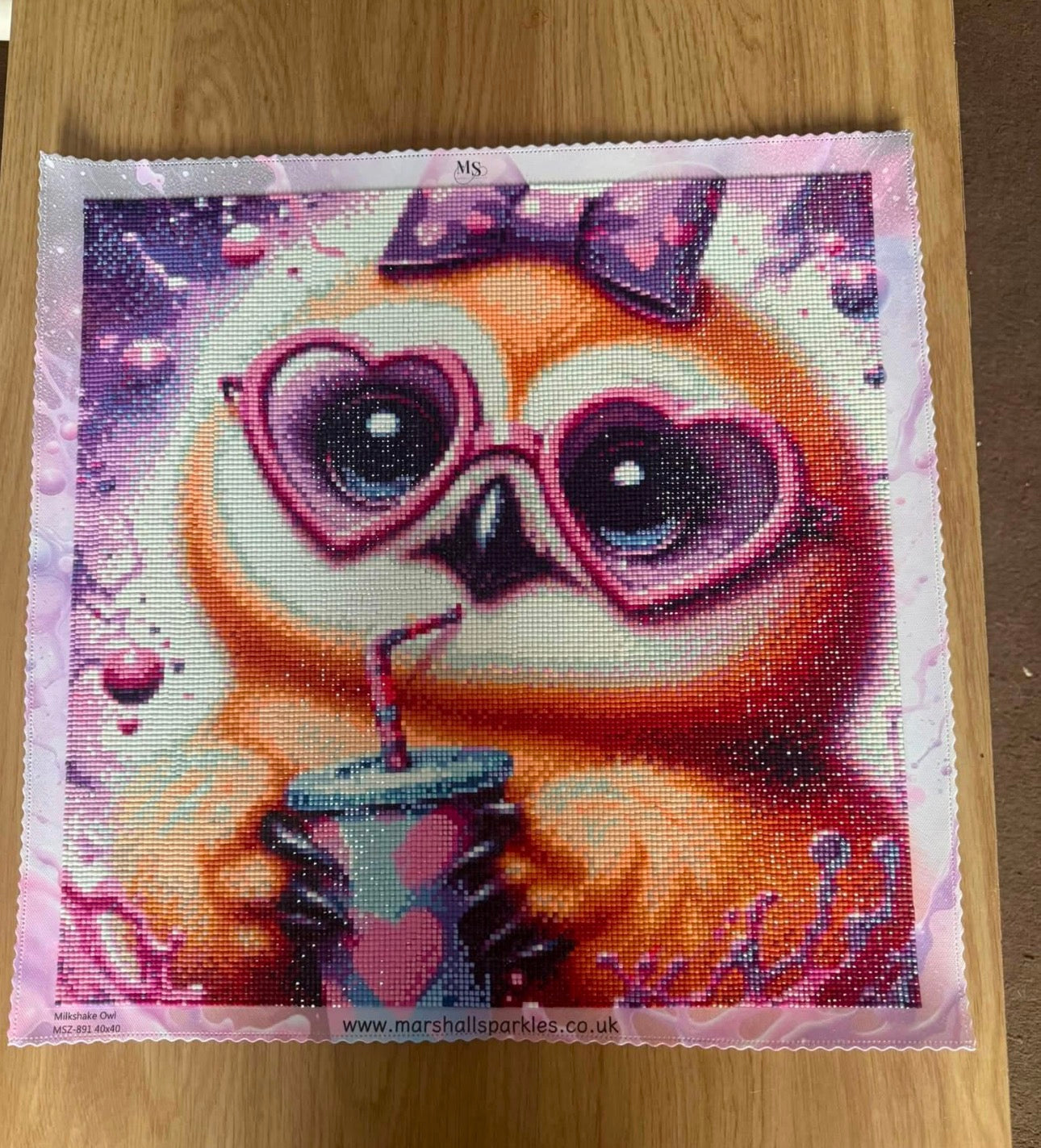 Milkshake Owl completed by Ami