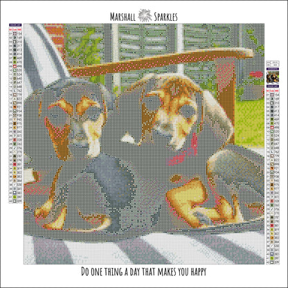 Dachshunds ©  50x50
