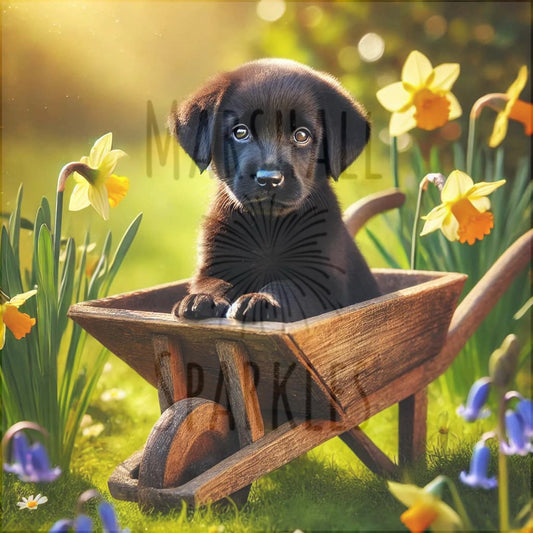 Mav Barrow © 50x50