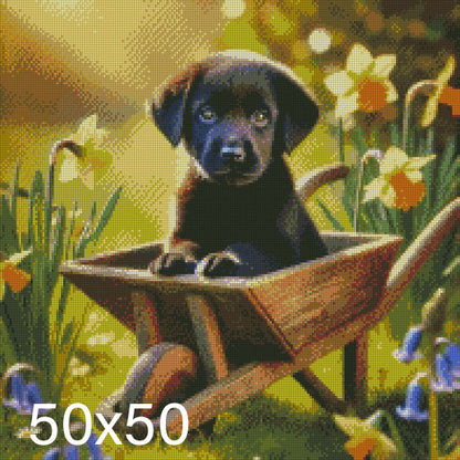 Mav Barrow © 50x50