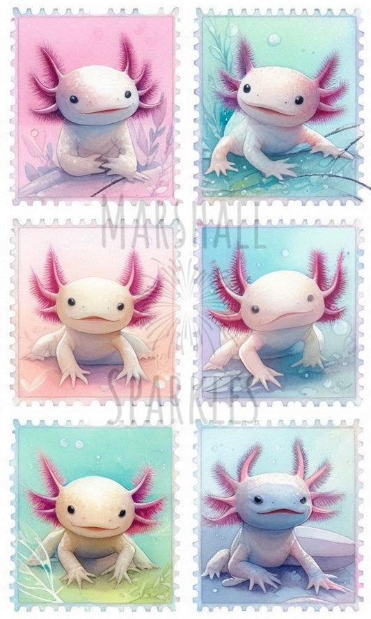 Axolotl Stamps © 60x100