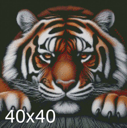 Moody Tiger © 40x40