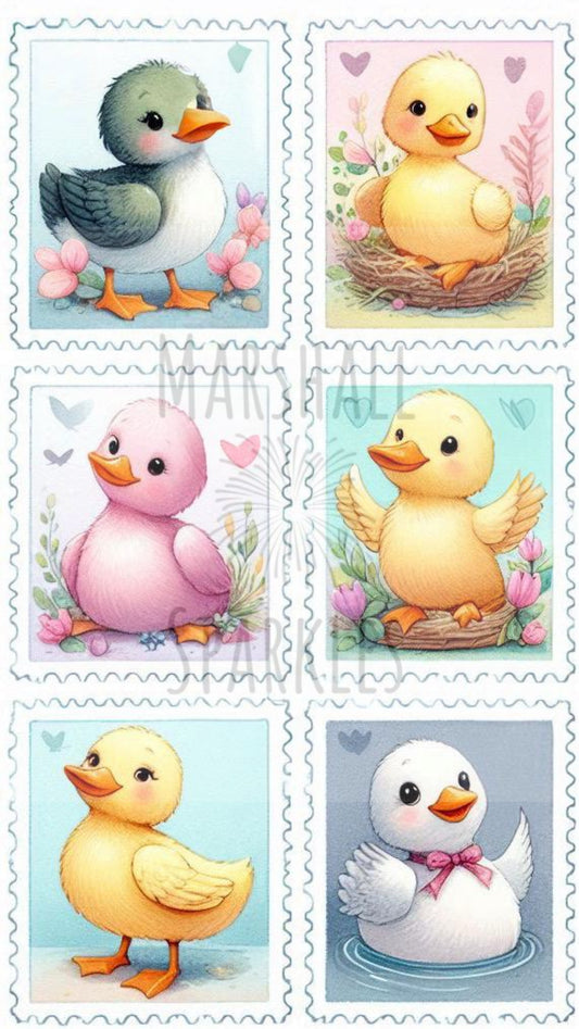 Duck Stamps © 50x90