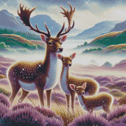 Deer in Scottish Glen © 50x50