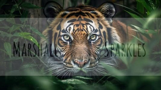 Tiger © 90x50