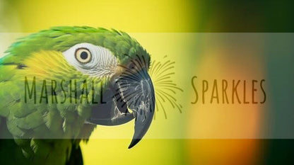 Parrot © 90x50 (print to order)