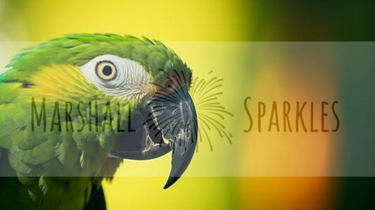 Parrot © 90x50