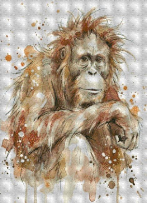Orangutan © 40x55 - (print to order)