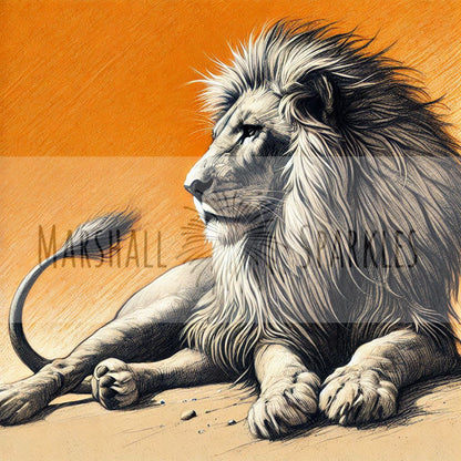 Lion ©  40x40 (print to order)