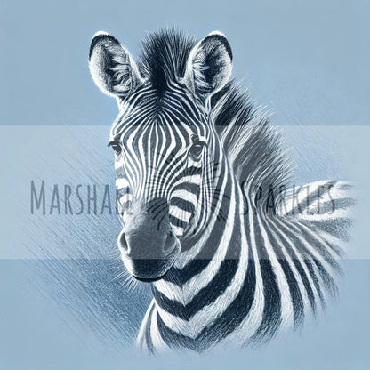 Zebra ©  40x40