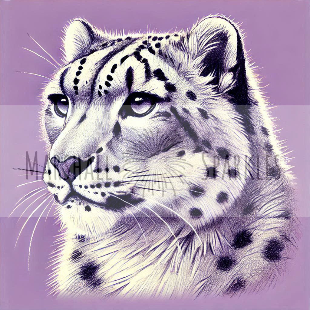 Leopard © 40x40 (print to order)
