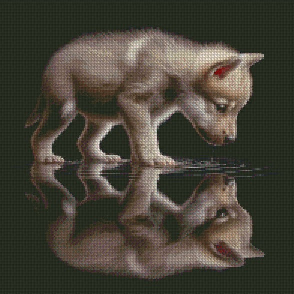Reflections Collection © 40x40