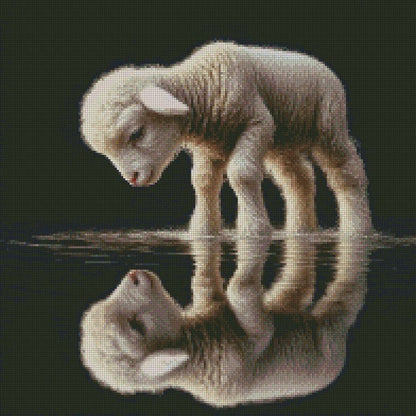 Reflections Collection © 40x40