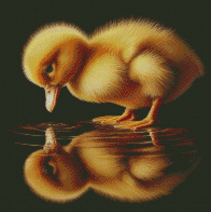 Reflections Collection © 40x40