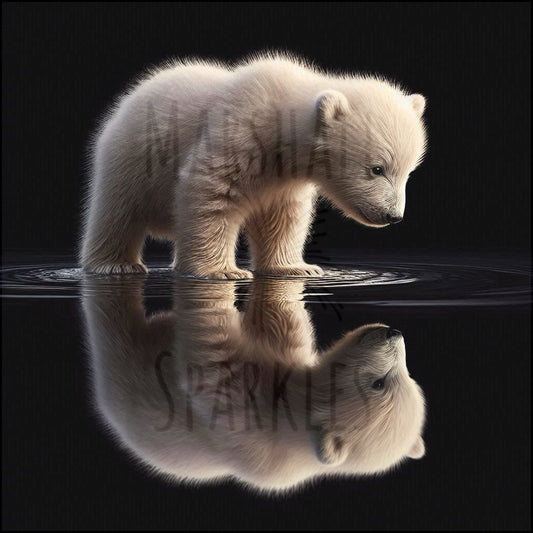 Reflections Collection - Polar Bear © 40x40 (print to order)