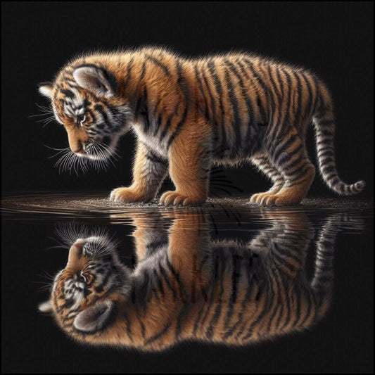 Reflections Collection - Tiger © 40x40 (print to order)