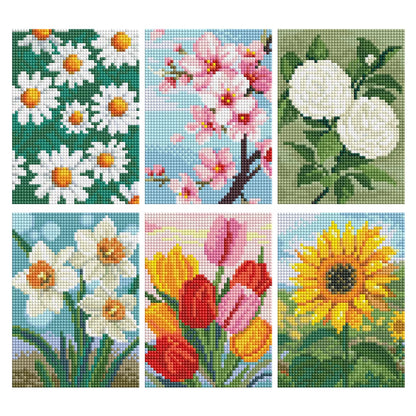 Flowers Mini 4x6 set of 6 Square with AB